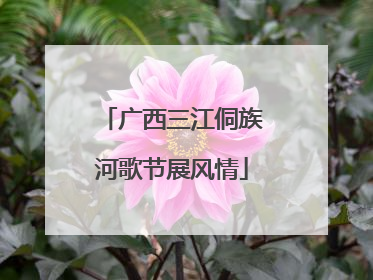 广西三江侗族河歌节展风情