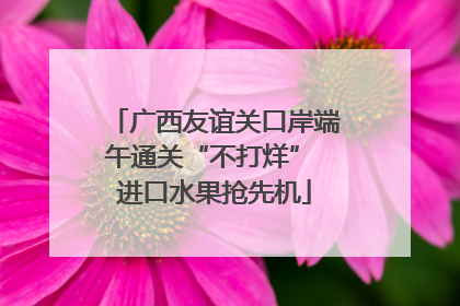 广西友谊关口岸端午通关“不打烊” 进口水果抢先机