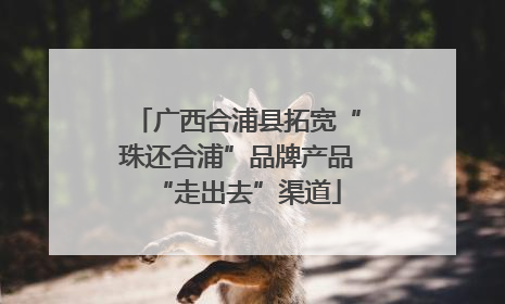 广西合浦县拓宽“珠还合浦”品牌产品“走出去”渠道