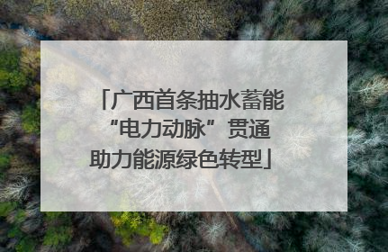 广西首条抽水蓄能“电力动脉”贯通 助力能源绿色转型