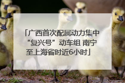 广西首次配属动力集中“复兴号”动车组 南宁至上海省时近6小时