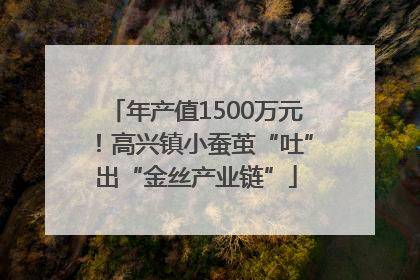 年产值1500万元！高兴镇小蚕茧“吐”出“金丝产业链”