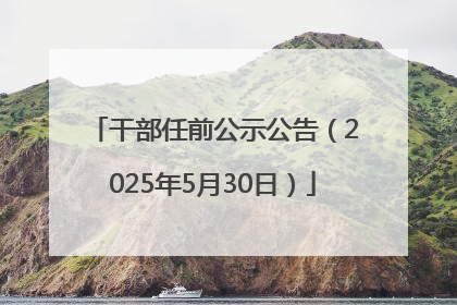 干部任前公示公告（2025年5月30日）