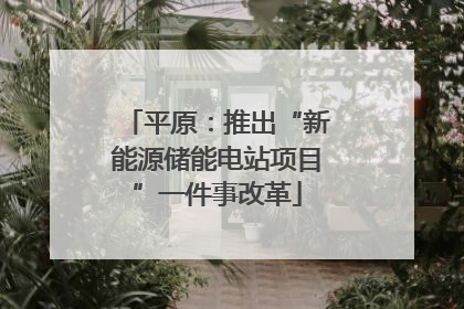 平原：推出“新能源储能电站项目”一件事改革