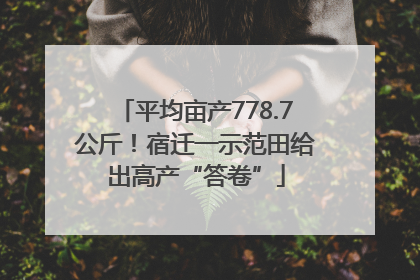 平均亩产778.7公斤！宿迁一示范田给出高产“答卷”