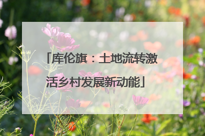 库伦旗：土地流转激活乡村发展新动能