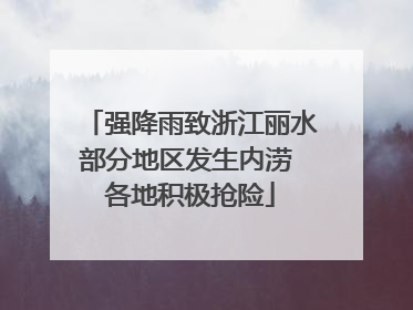 强降雨致浙江丽水部分地区发生内涝 各地积极抢险