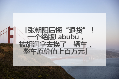 张朝阳后悔“退货”！一个绝版Labubu，被胡润拿去换了一辆车，整车原价值上百万元