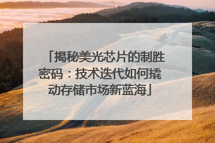 揭秘美光芯片的制胜密码：技术迭代如何撬动存储市场新蓝海