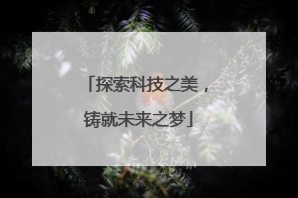 探索科技之美，铸就未来之梦