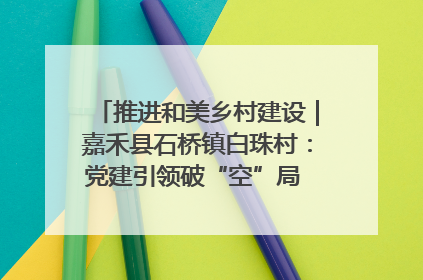 推进和美乡村建设｜嘉禾县石桥镇白珠村：党建引领破“空”局 乡贤聚力绘就新图景