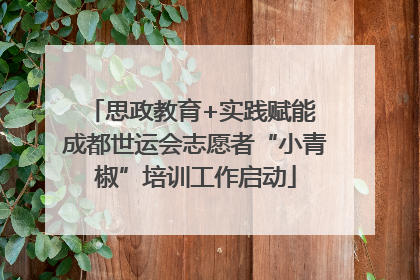 思政教育+实践赋能 成都世运会志愿者“小青椒”培训工作启动