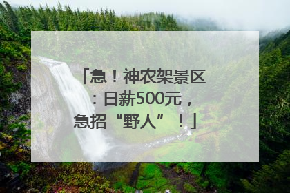 急！神农架景区：日薪500元，急招“野人”！