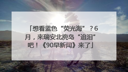 想看蓝色“荧光海”？6月，来瑞安北麂岛“追泪”吧！《90早新闻》来了