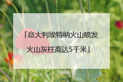 意大利埃特纳火山喷发 火山灰柱高达5千米