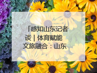 感知山东记者谈｜体育赋能 文旅融合：山东打造体商文旅融合发展新格局
