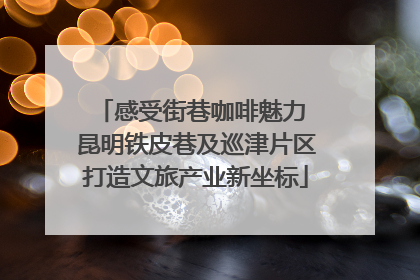 感受街巷咖啡魅力 昆明铁皮巷及巡津片区打造文旅产业新坐标