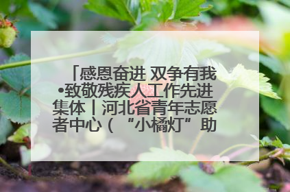 感恩奋进 双争有我•致敬残疾人工作先进集体丨河北省青年志愿者中心（“小橘灯”助残接力计划实施团队）：用温暖陪伴，守护特殊孩子成长