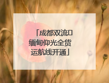 成都双流⇌缅甸仰光全货运航线开通