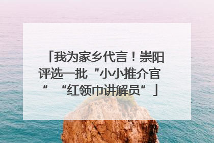 我为家乡代言！崇阳评选一批“小小推介官”“红领巾讲解员”