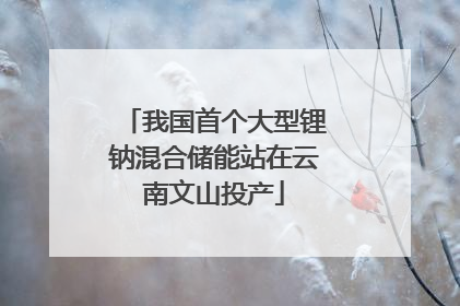 我国首个大型锂钠混合储能站在云南文山投产