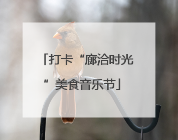 打卡“廊洽时光”美食音乐节