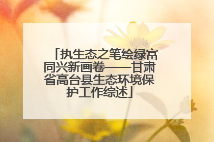 执生态之笔绘绿富同兴新画卷——甘肃省高台县生态环境保护工作综述