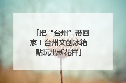 把“台州”带回家！台州文创冰箱贴玩出新花样