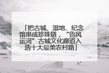 把古城、湿地、纪念馆串成珍珠链，“鲁风运河”古城文化廊道入选十大最美农村路