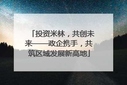投资米林，共创未来——政企携手，共筑区域发展新高地