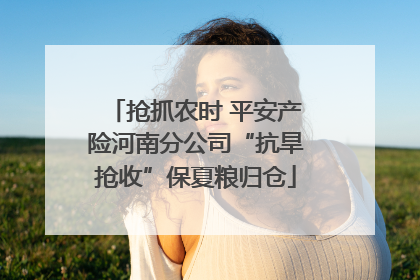 抢抓农时 平安产险河南分公司“抗旱抢收”保夏粮归仓