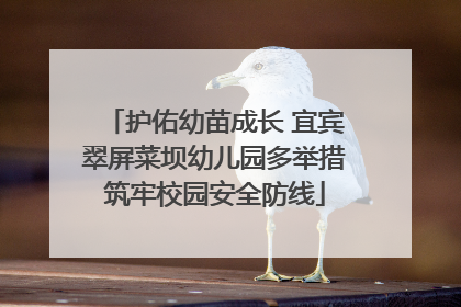 护佑幼苗成长 宜宾翠屏菜坝幼儿园多举措筑牢校园安全防线