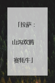 拉萨：山沟欢腾赛牦牛