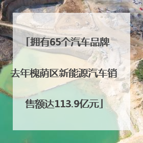 拥有65个汽车品牌 去年槐荫区新能源汽车销售额达113.9亿元