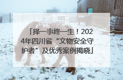 择一事终一生！2024年四川省“文物安全守护者”及优秀案例揭晓