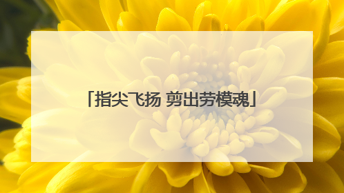 指尖飞扬 剪出劳模魂