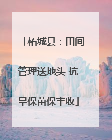 柘城县：田间管理送地头 抗旱保苗保丰收