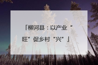 柳河县：以产业“旺”促乡村“兴”