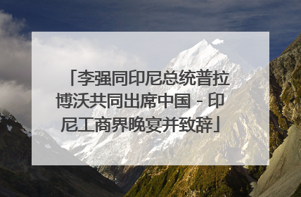李强同印尼总统普拉博沃共同出席中国－印尼工商界晚宴并致辞