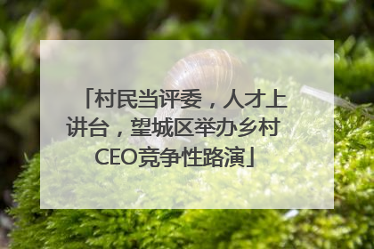 村民当评委，人才上讲台，望城区举办乡村CEO竞争性路演