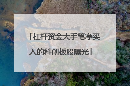 杠杆资金大手笔净买入的科创板股曝光