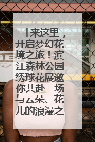 来这里，开启梦幻花境之旅！滨江森林公园绣球花展邀你共赴一场与云朵、花儿的浪漫之约