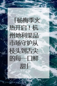 杨梅季火热开启！杭州地利果品市场守护从枝头到舌尖的每一口鲜甜