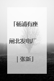 杨浦有座闸北发电厂｜张新