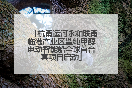 杭甬运河永和联甬临港产业区暨纯甲醇电动智能船全球首台套项目启动