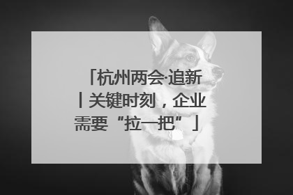 杭州两会·追新丨关键时刻，企业需要“拉一把”