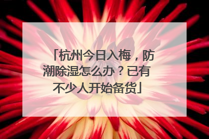 杭州今日入梅，防潮除湿怎么办？已有不少人开始备货