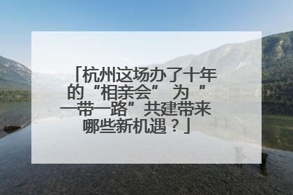 杭州这场办了十年的“相亲会” 为“一带一路”共建带来哪些新机遇？