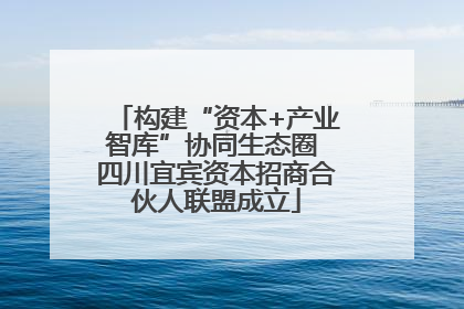 构建“资本+产业智库”协同生态圈 四川宜宾资本招商合伙人联盟成立