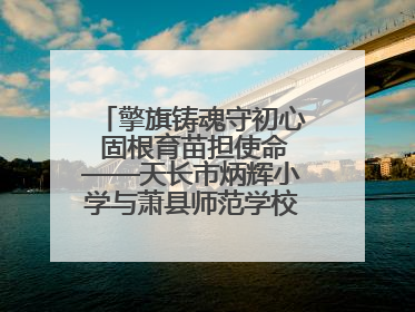 擎旗铸魂守初心 固根育苗担使命——天长市炳辉小学与萧县师范学校附属小学结对共建活动纪实